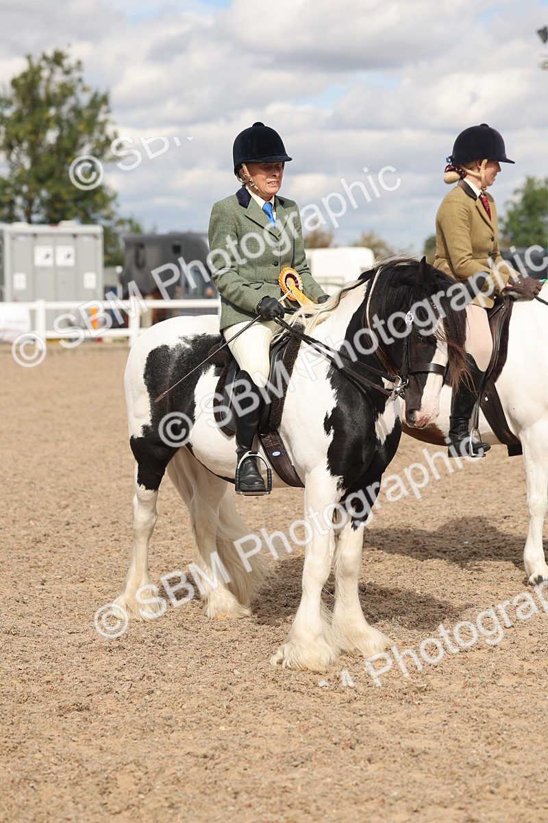SBM_14699 - Class 307 - Ridden Coloured Pony