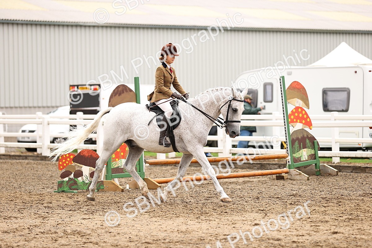 SBM_00540 - Class 53 - Ridden Competition Horse Pony