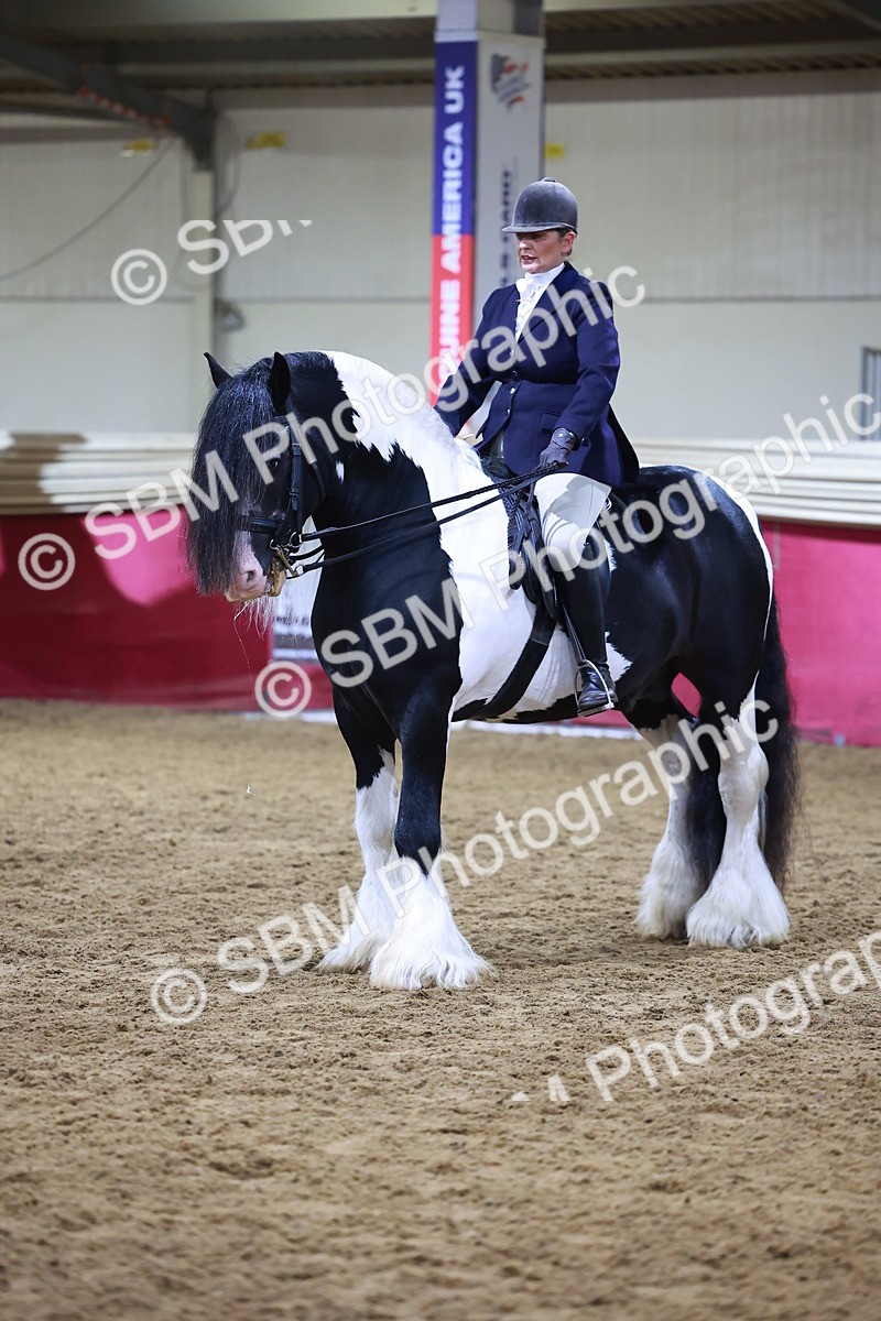 SBM_15408 - Class Q - Ridden Horse Champ