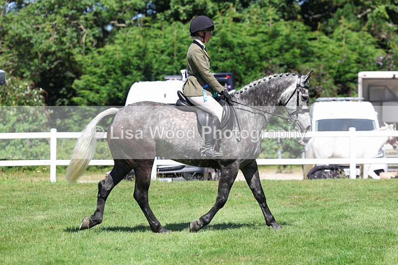 3E7A9126 - Working Hunter Championship