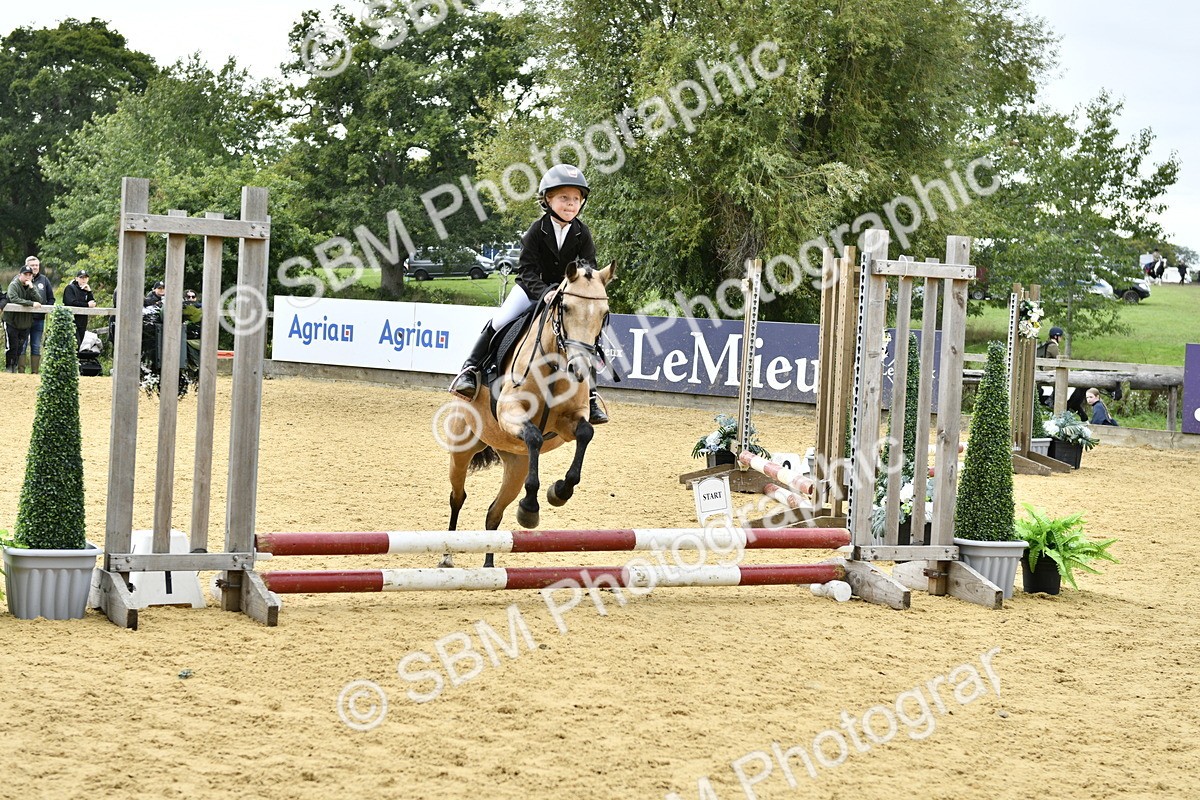 SBM_65523 - J2a mini Tour Junior Pony 30cm Championship