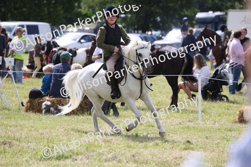 20260614-0731 - Class 20 - Beginners Working Hunter Pony