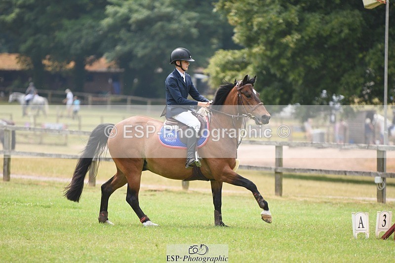 230617-142718-04247 - Cls 17 Newcomers & 1m Open