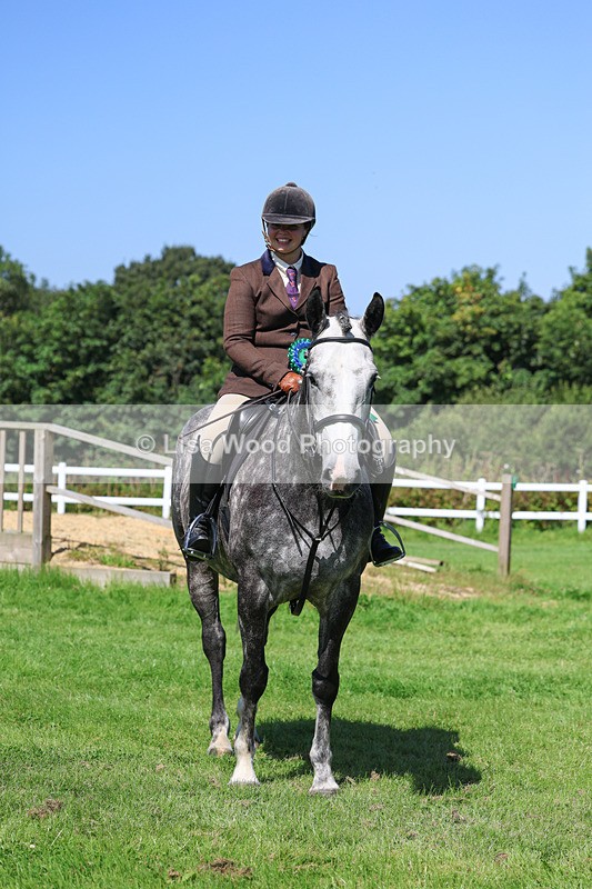 3E7A8513 - Class 4: Novice working Hunter