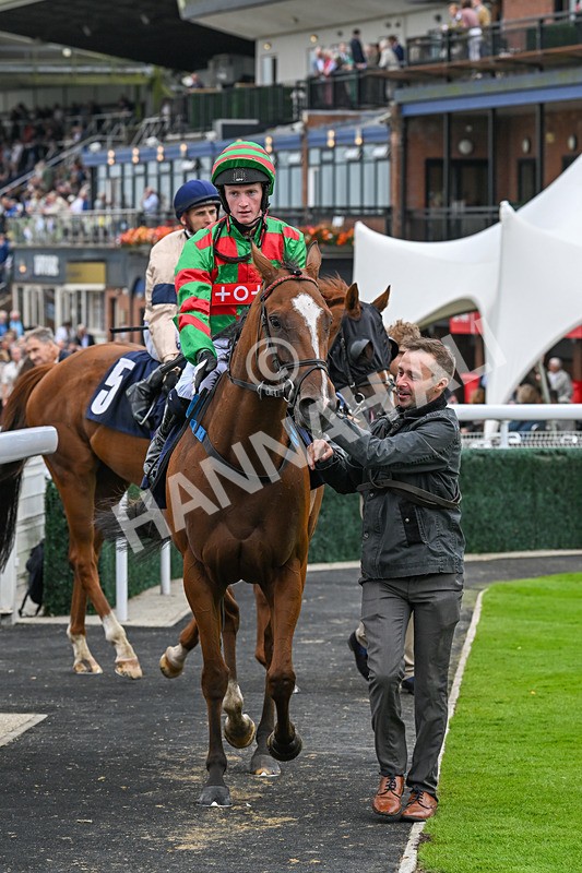 150824-Race 4-Opal Storm-8100 - Race 4