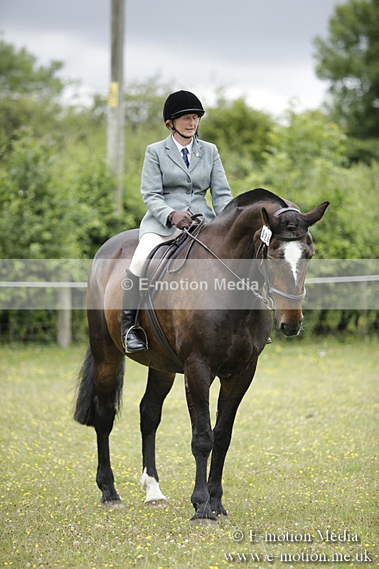 BVR160717-1559 - Ring 1 BVRC Show 16/07/17