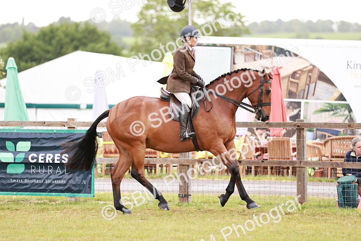 SBM_10765 - Class 81-84 - RIHS Ridden hunters Inc Ladies Hunter