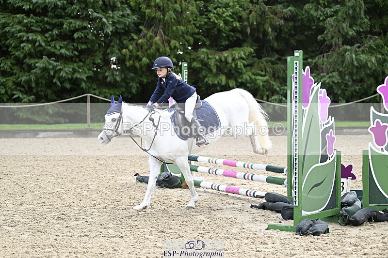 251005A-091159-02986 - Cls 02 GR 50cm