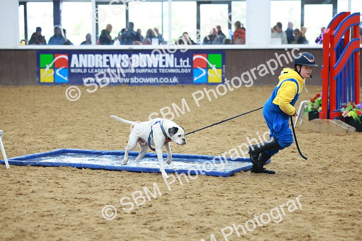 SBM_002307 - Class 3 - Horse & Hound (60cm)