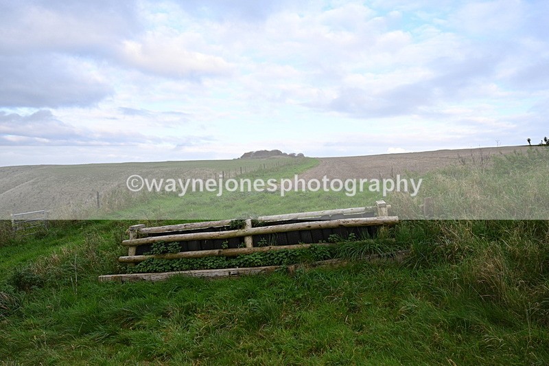 WJ7_9692 - Camera 1 & Last fence