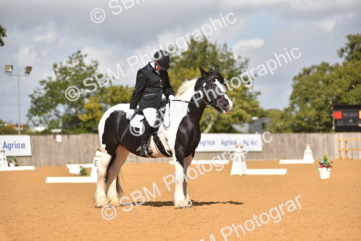 SBM_03392 - D4 - Small Tour Championship Intro 4