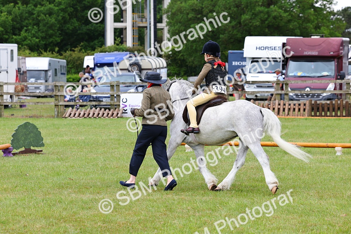 SBM_08208 - Class 42-43 - LIHS BSPS Heritage Working Sports Pony