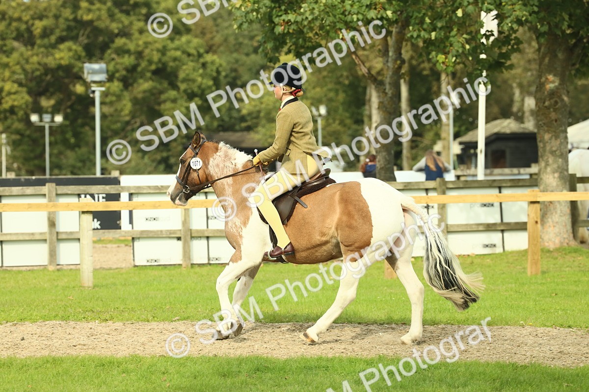 SBM_68118 - S57 - Part Bred Pony Ridden