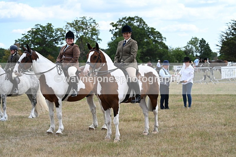 WJ7_5489 - Class 12 Ridden Cob