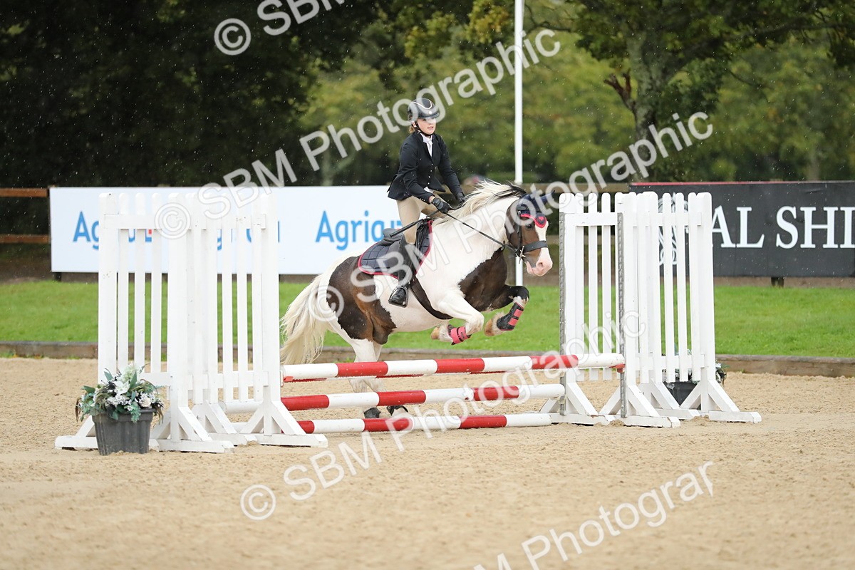 SBM_34362 - J60 Clear Round 50cm