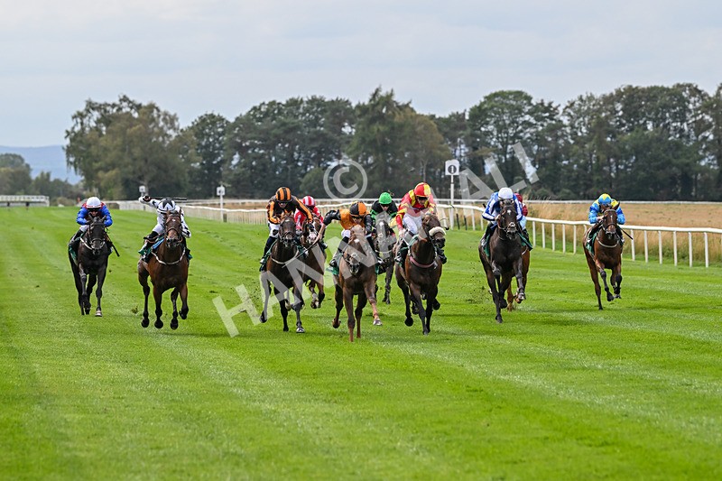 060925-Race 2-Dazzling Haze-4637 - Race 2