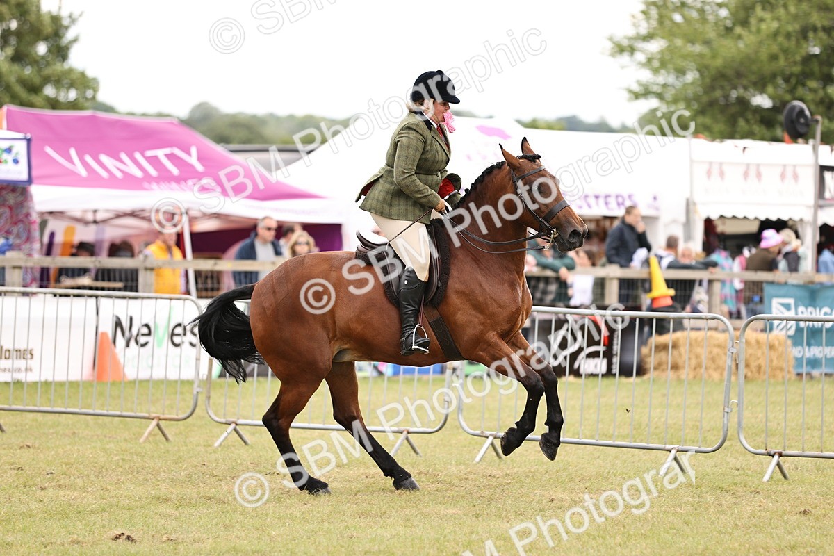 SBM_14639 - Class 88-89 - LIHS BSHA Rising Star of Ridden Hunter Type