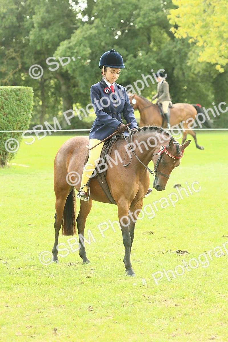 SBM_68079 - S57 - Part Bred Pony Ridden