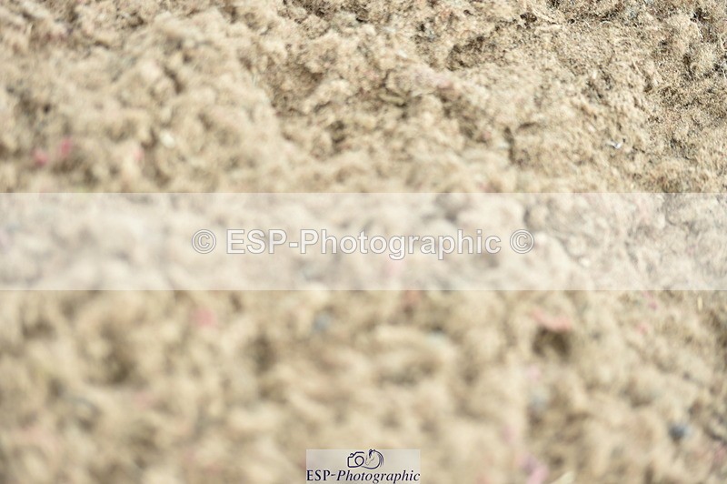 230819A-114504-00418 - Cls 37+38 Springboard +Summer/Winter 128cm + 138cm