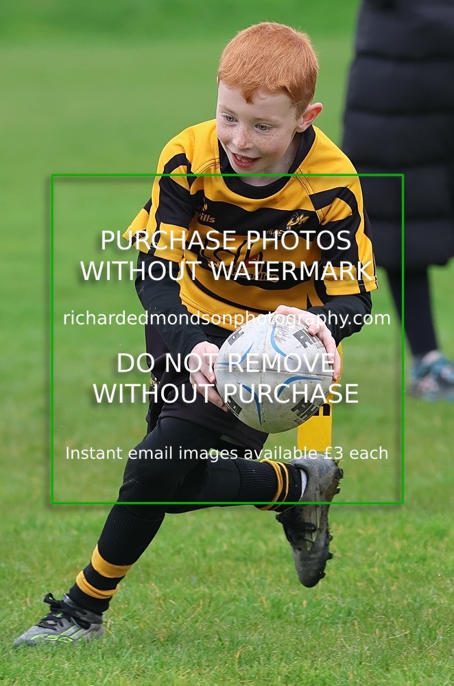 533A5256 - Kendal Rugby Under 7's (12/4/26)
