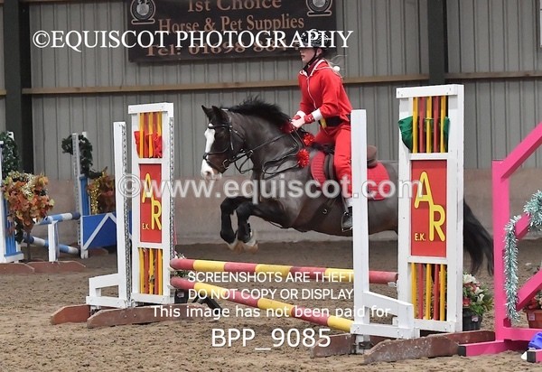 BPP_9085 - CLASS 3 50CM-70CM Pairs Show Jumping