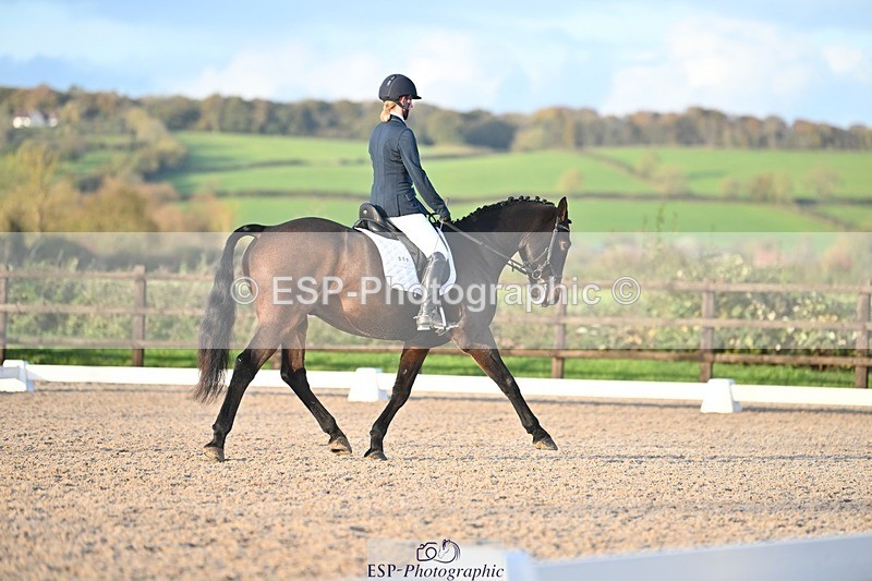 231105-153409-03068 - Cls 4 Novice 24 15.24 to 16.35 break