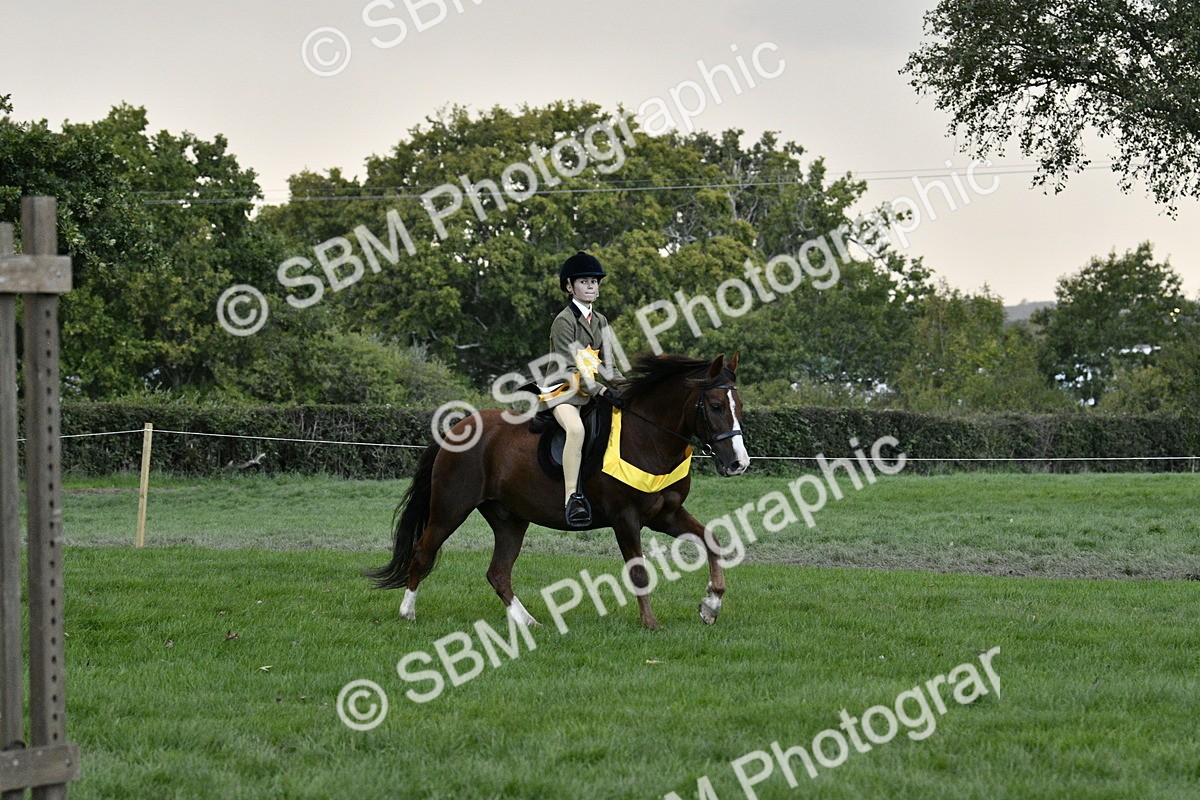 SBM_53299 - S14 - Riding Club Horse