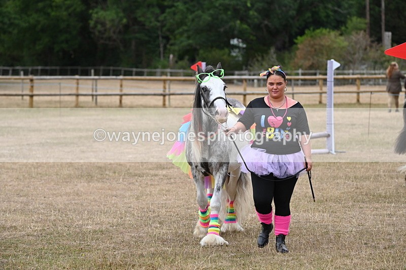 WJ6_8876 - Class 11 Fancy Dress