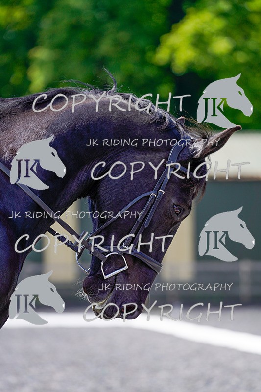 _DSC3971 - NOVICE 1