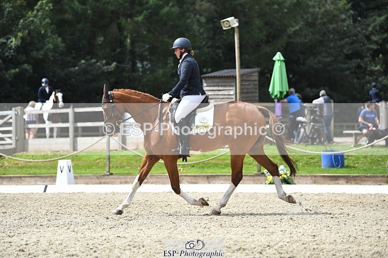 230812-122027-04094 - Cls 6 Novice Silver 12.10 to End