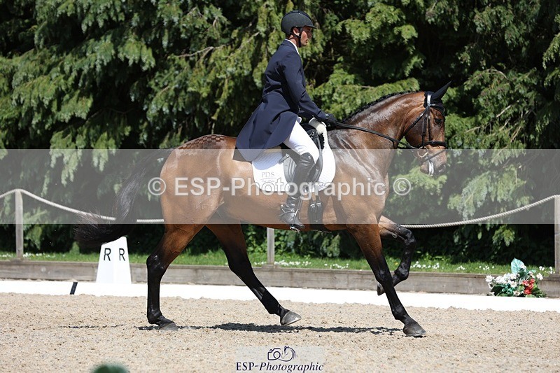 230526-144421-06531 - 374-ISLANDWOOD_THE_RISING-Sebastian_Roldan_Olivera-WEDTrotUp+DR