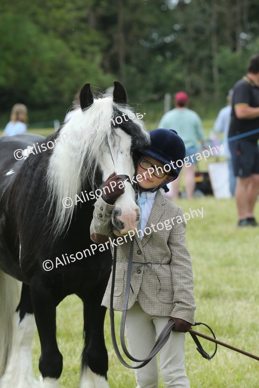 20260614-4312 - Class 18 - Best Junior Handler