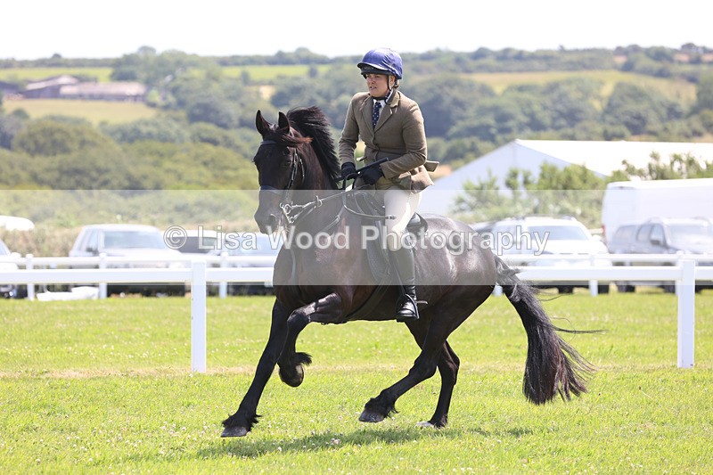 JPP_2545 - Class 21: Working Hunter 60cm
