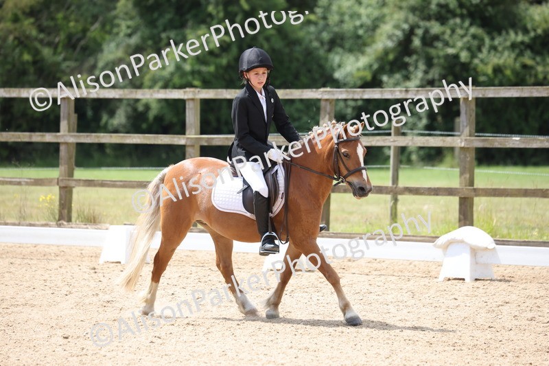 20250614-0619 - Class 5 - Novice 3