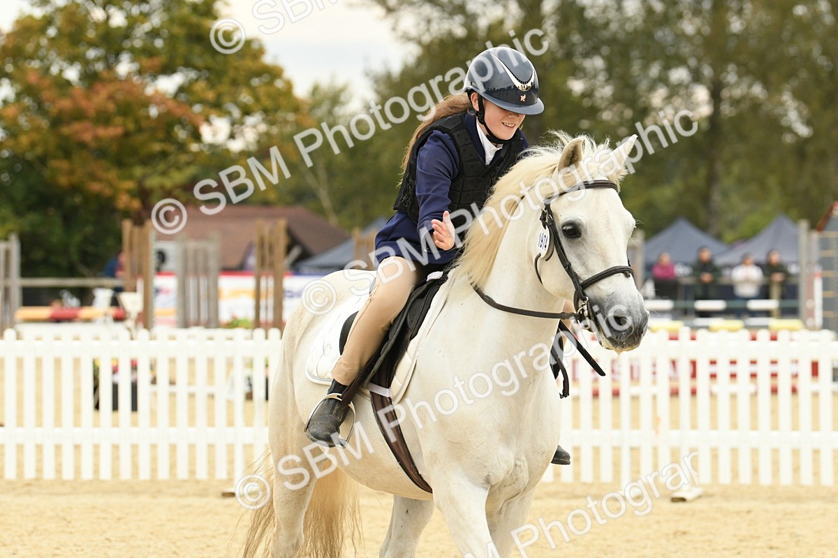 SBM_73172 - J16 - Junior Pony 75cm Championship