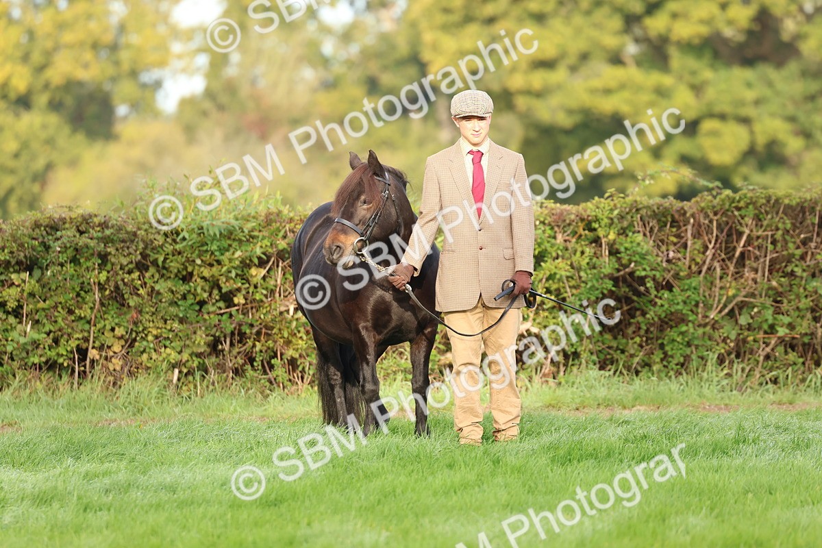 SBM_54887 - S39 - Starters In Hand Showing