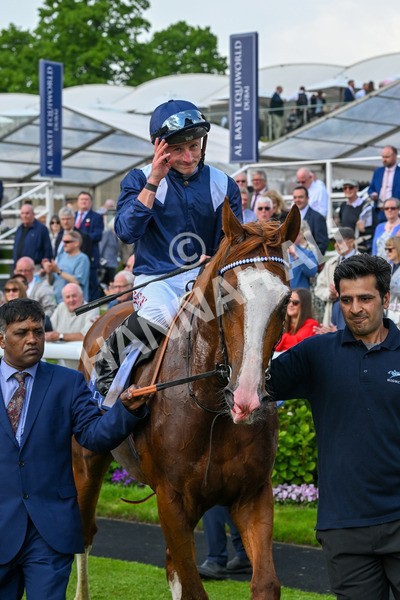 160524-Race 4-Economics-6100 - Race 4 3.45pm Al Basti Equiworld Dubai Dante Stakes