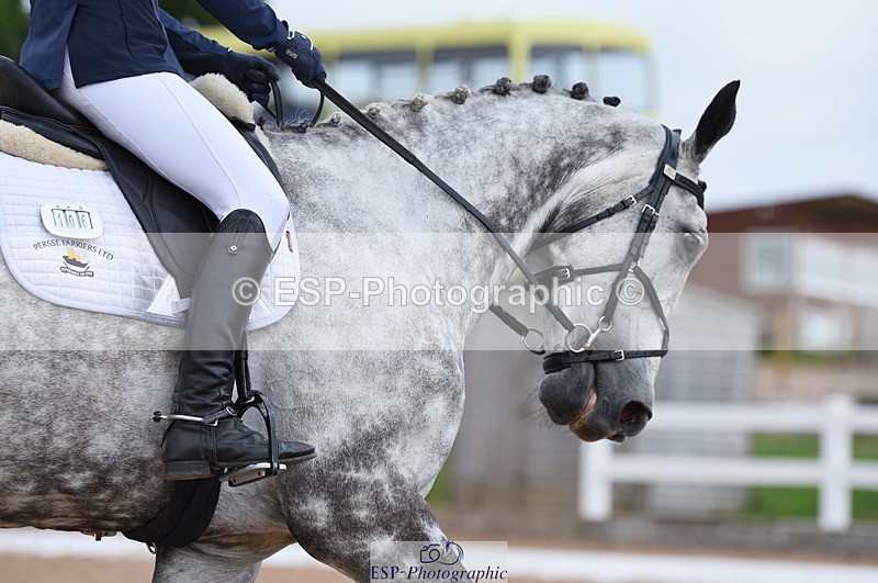 230701A-130856-05881 - Cls 7b Medium 71