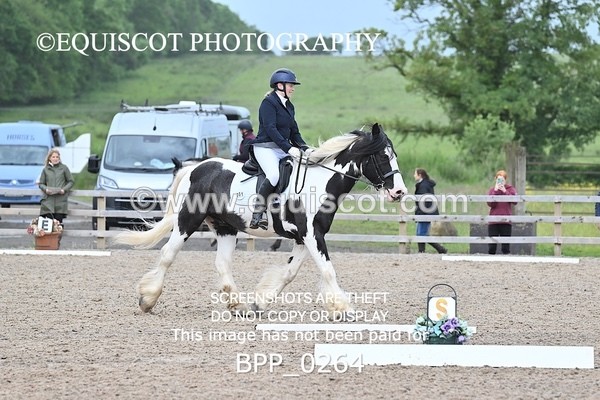 BPP_0264 - 31 E WYLLIE