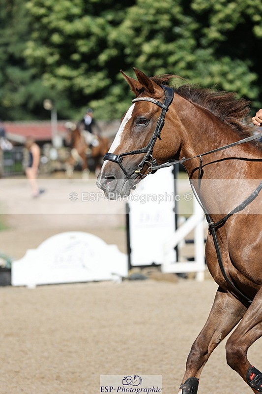 250703A-084859-00118 - Cls 5 85cm Amateur Qualifier