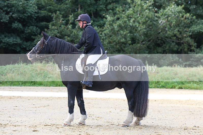 3E7A2355 - Class 1: Intro 4 2024 section A