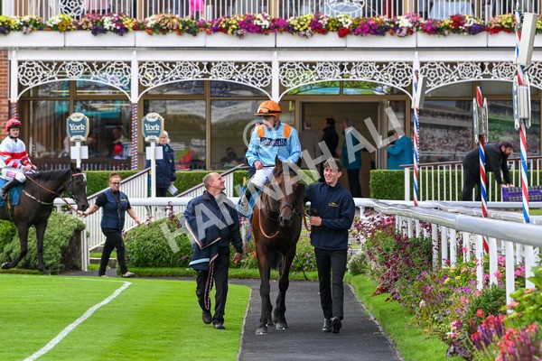 120724-Race 6-The Coffee Pod-6429 - Race 6 4.55pm Irish Thoroughbred Marketing Handicap