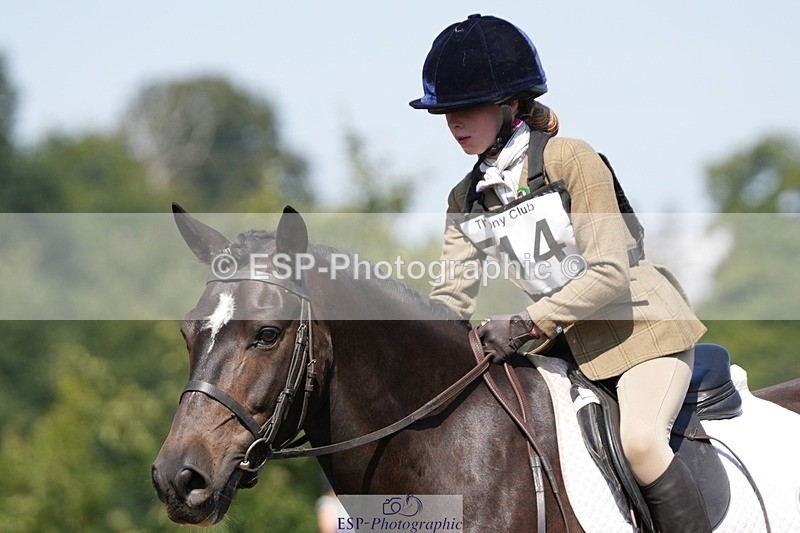 250823A-113930-28252 - Arena A