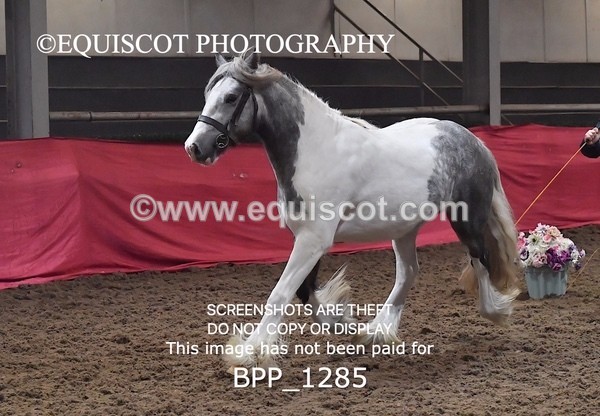 BPP_1285 - MORNING 9AM - 12PM