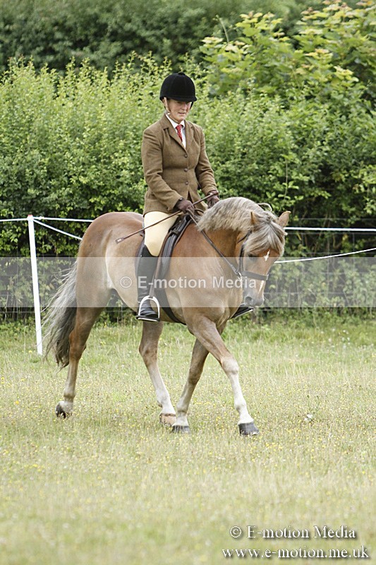 BVR160717-152 - Ring 3 BVRC Show 16/07/17