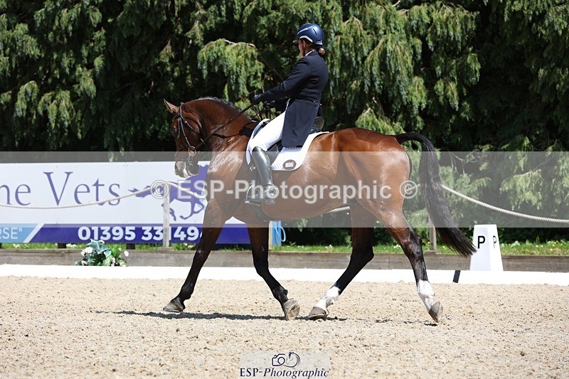 230526-134638-06388 - 368-COIRBAN_SARCO_DELUX-Rebecca_Gibbs-WEDTrotUp+DR