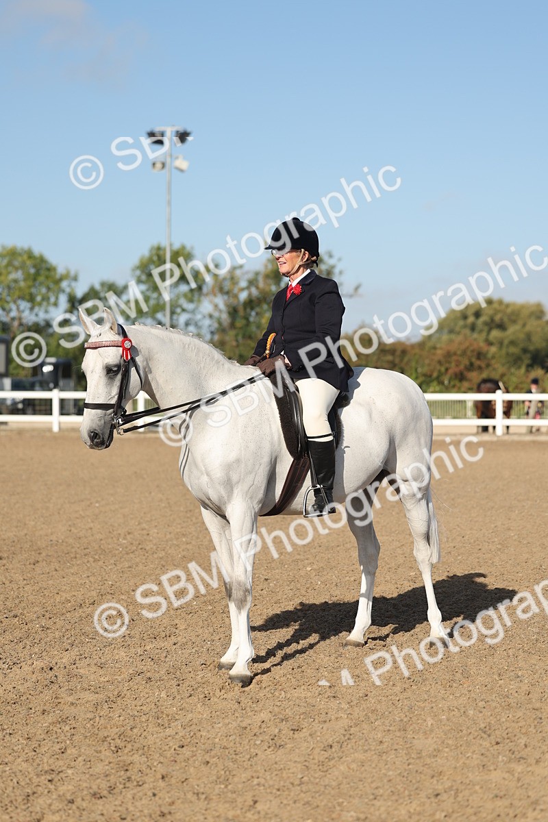 SBM_22151 - Class 801 - Ridden Veterans