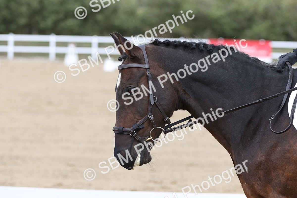 SBM_003939 - Class 9 - Novice 3 Champs