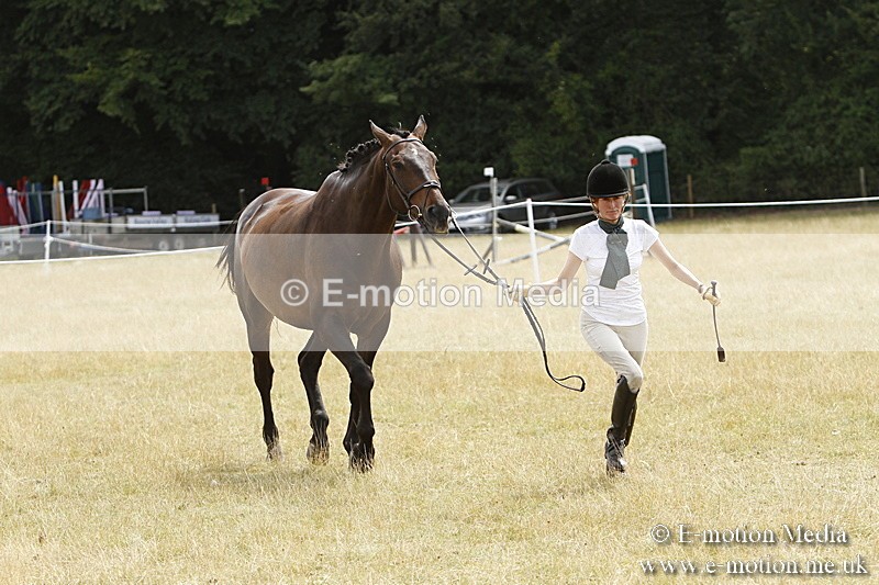 _BS_0969 - BVRC Show 2018 Ring 3