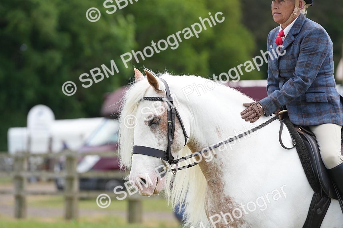 SBM_17195 - Class 107-108 - LIHS BSPS Performance Coloured Horse Pony